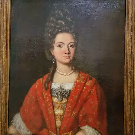 Palazzo Morosini Brandolin Dimora Romantica *